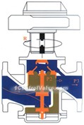 Dynamic balanced electric regulative valve constructral diagram(pic1)