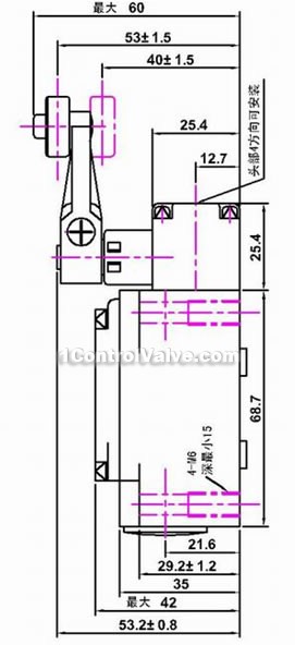 Explosion-proof stroke switch constructral diagram(pic2)