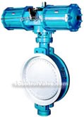 Pneumatic piston fast cutting off valve constructral diagram(pic3)