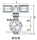 Pneumatic piston fast cutting off valve constructral diagram(pic2)