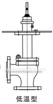 Angle seat regulative valve constructral diagram(pic6)