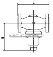 Self-reliance flow regulator constructral diagram(pic1)