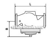 Self-reliance flow regulator constructral diagram(pic2)