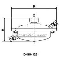 Self-reliance flow regulator constructral diagram(pic3)