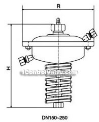 Self-reliance flow regulator constructral diagram(pic4)