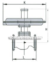 Self-reliance pressure differential regulator constructral diagram